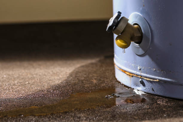 Best Water damage repair service  in Johnson City, KS