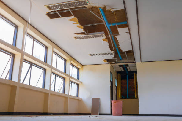 Best Fire Damage Restoration  in Johnson City, KS