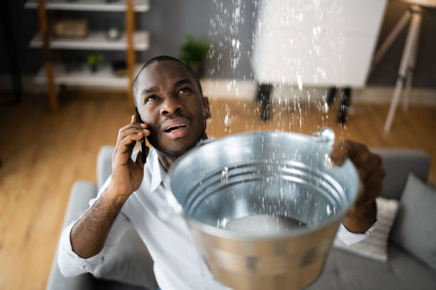 Best Water damage cleanup near me  in Johnson City, KS