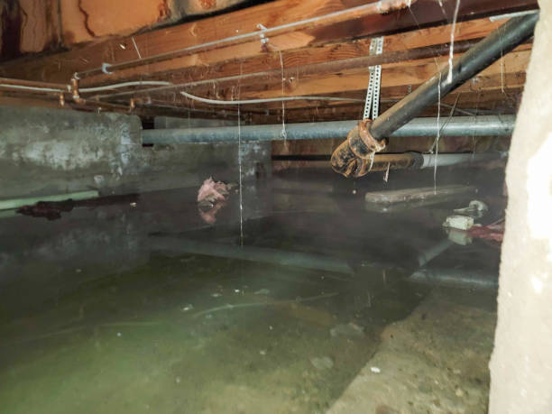 Best Emergency water damage restoration  in Johnson City, KS