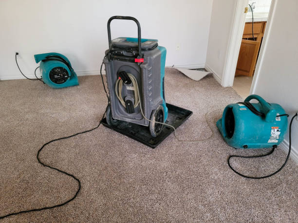 Best Water damage restoration near me  in Johnson City, KS
