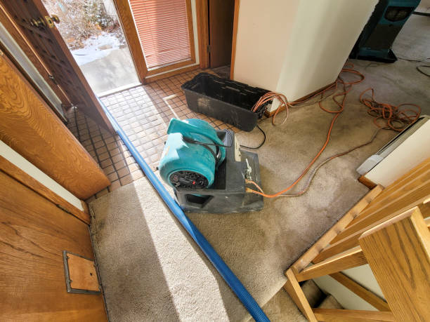 Best Water damage restoration mold remediation  in Johnson City, KS