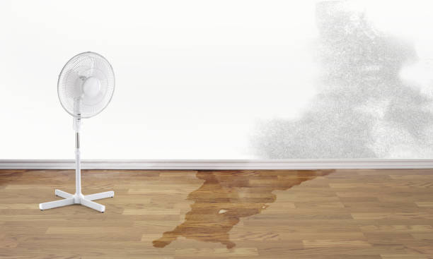 Best Residential water damage restoration  in Johnson City, KS
