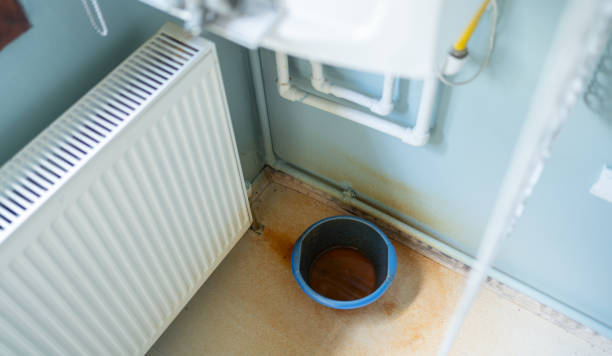 Best Carpet water damage restoration  in Johnson City, KS