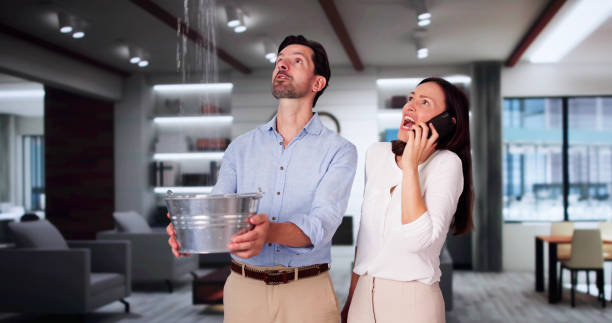 Best Ceiling water damage repair  in Johnson City, KS