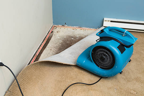  Johnson City, KS Water damage restoration Pros